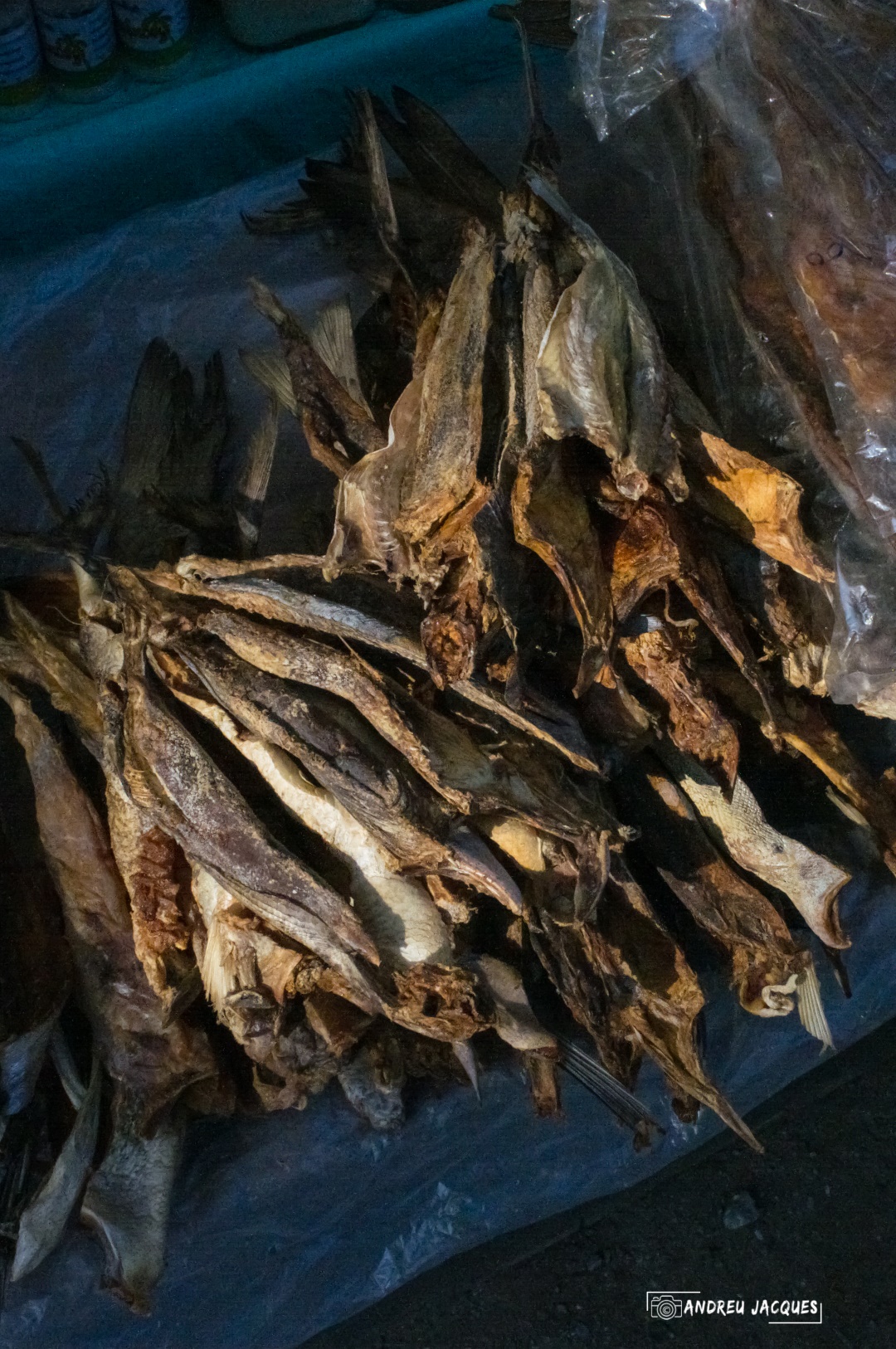 birmanie-221 (Grand).jpg